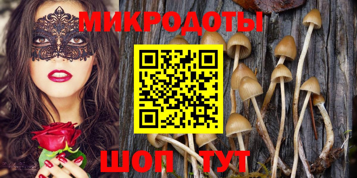 Алейск  Галлюциногенные грибы прущие грибы  Вход с VPN 